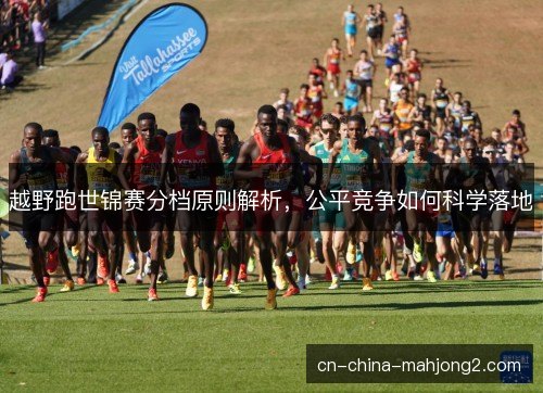 越野跑世锦赛分档原则解析，公平竞争如何科学落地